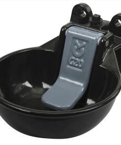 Alternative view of Abbeveratoio G20