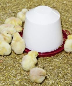 Abbeveratoio in plastica