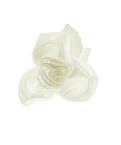 Alternative view of 10 Rose Ventosa Crema Auto Sposi (KWR2-079)